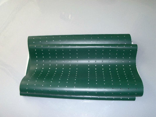 China Cinto verde da peça de Poli Laserlab 3049 Digital Minilab fornecedor