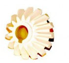 Peça do minilab de Noritsu # A036430/A036430-01 fornecedor