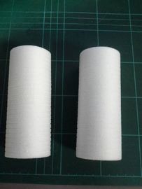 Filtro químico A124855/A124855G do minilab de Noritsu fornecedor