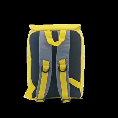 leisure backpack CR-206 Yellow Travel Work Hiking School Sports fornecedor