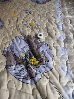 327C1024765 ENGRENAGEM TEETH-16 O-CUT PARA o minilab da FRONTEIRA 340.500.550.570.390 de FUJI fornecedor