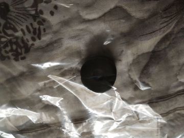 esponja para o rolo mais seco do PRO minilab dos LPS 24 de Noritsu fornecedor