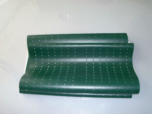 Cinto verde da peça de Poli Laserlab 3049 Digital Minilab fornecedor